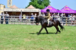 SBM_06103
