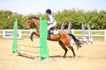 SBM_001149