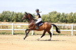 SBM_007974