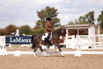 SBM_06235