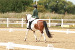 SBM_001973
