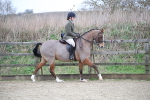 SBM_004659