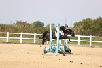 SBM_002244