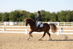 SBM_007061