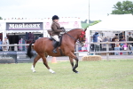 SBM_11341