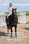 BPP_8394