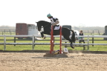 SBM_003381