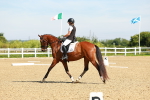 Class 17 - Novice 6 portfolio