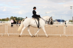 SBM_15886