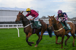 241025-Race 7-Ideal Des Bordes-5972