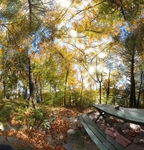 At Dudley Pond - Wayland