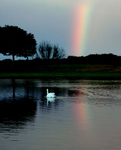 Rainbow at the Curlie