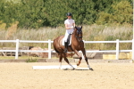 SBM_022611