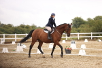 SBM_001054