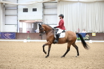 SBM_003855