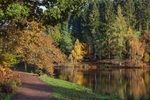 Early Autumn Reflections