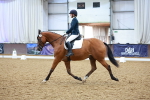 SBM_003558