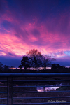 Sunset at the Ecos 3