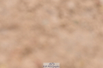 240121A-100802-00367