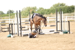 SBM_027017