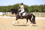 SBM_012293