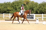 SBM_003699