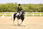 SBM_007497