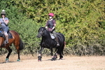 WJ6_7928