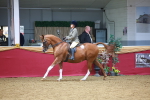 SBM_06093