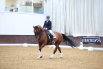 SBM_008495