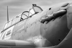 _MG_8913