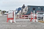BPP_6407