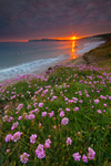z1611 Compton Bay