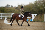 SBM_000289