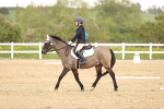 SBM_006949
