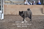 BPP_6515