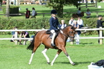 SBM_47143
