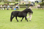 SBM_62783