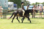 SBM_05429