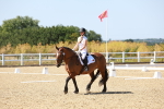 SBM_012604