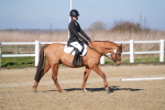 SBM_001979