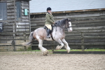 SBM_008099