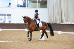 SBM_001216