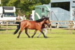 SBM_00572