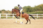 SBM_008063