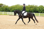 SBM_006481