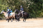 WJ6_9047
