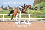 BPP_2380
