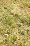 SBM_09299