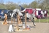 BPP_3609
